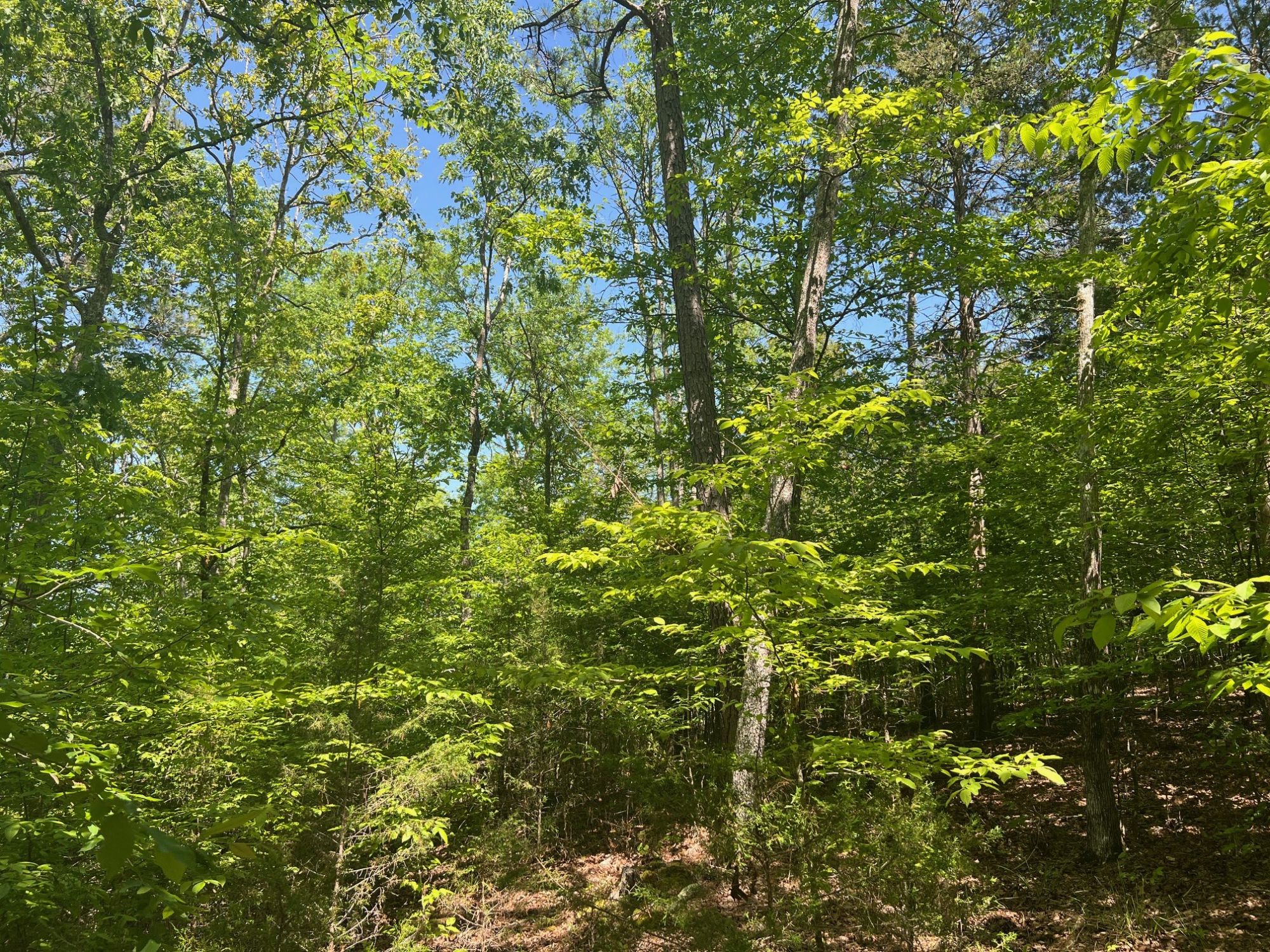 Lot image 7