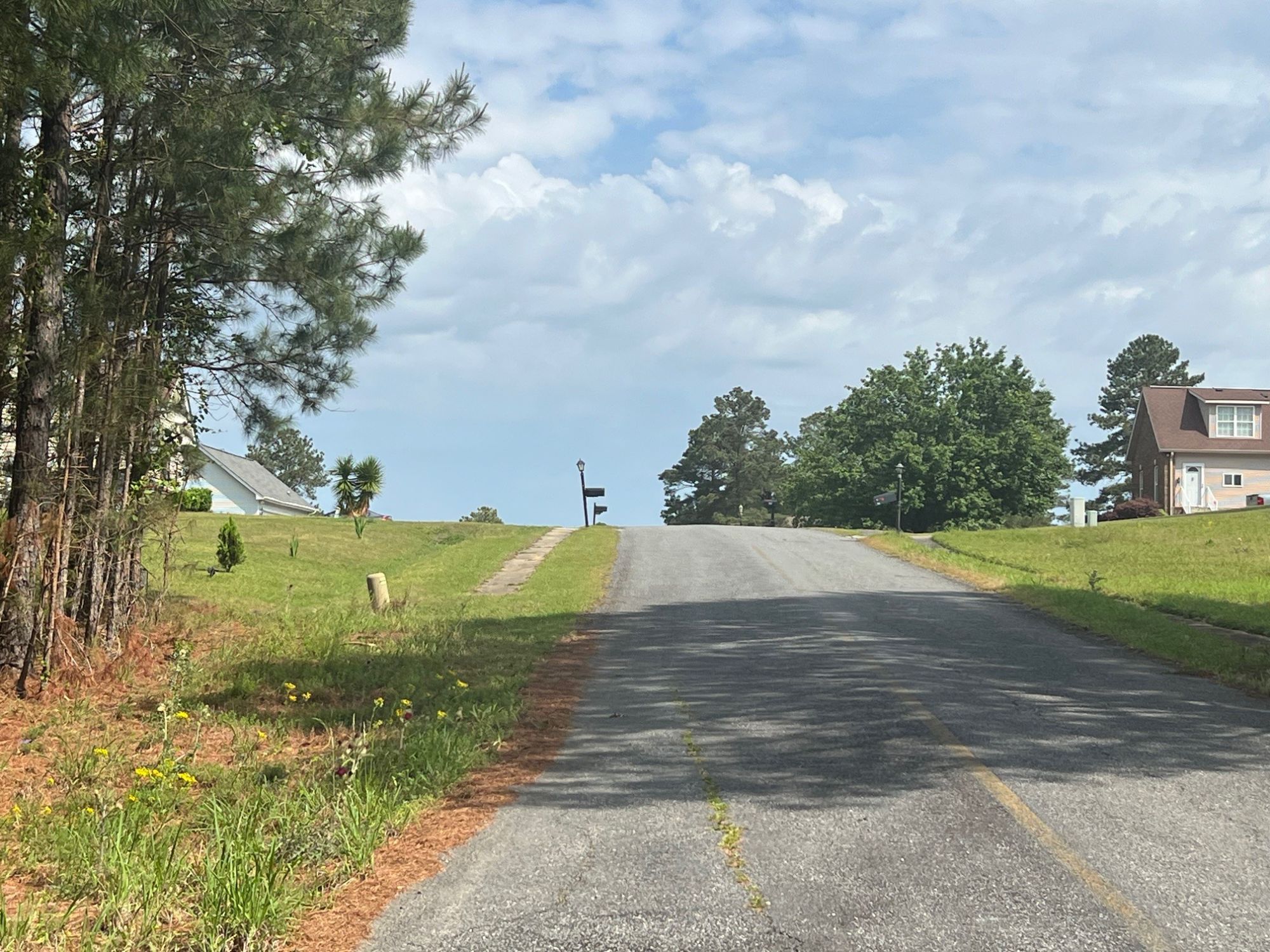 Lot image 6
