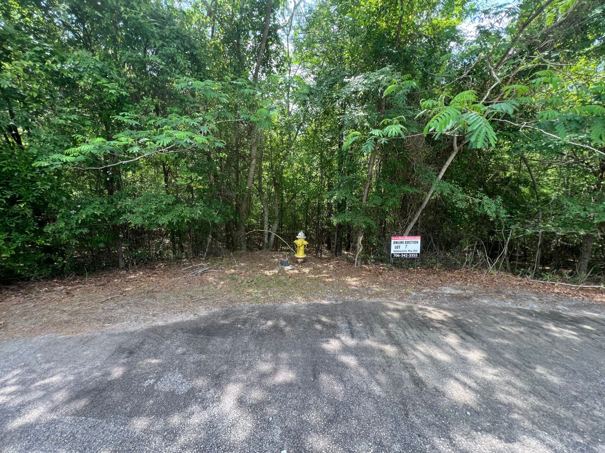 Lot image 5