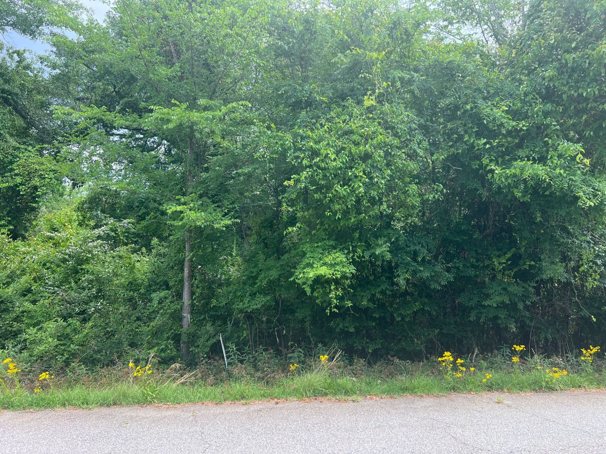 Lot image 4