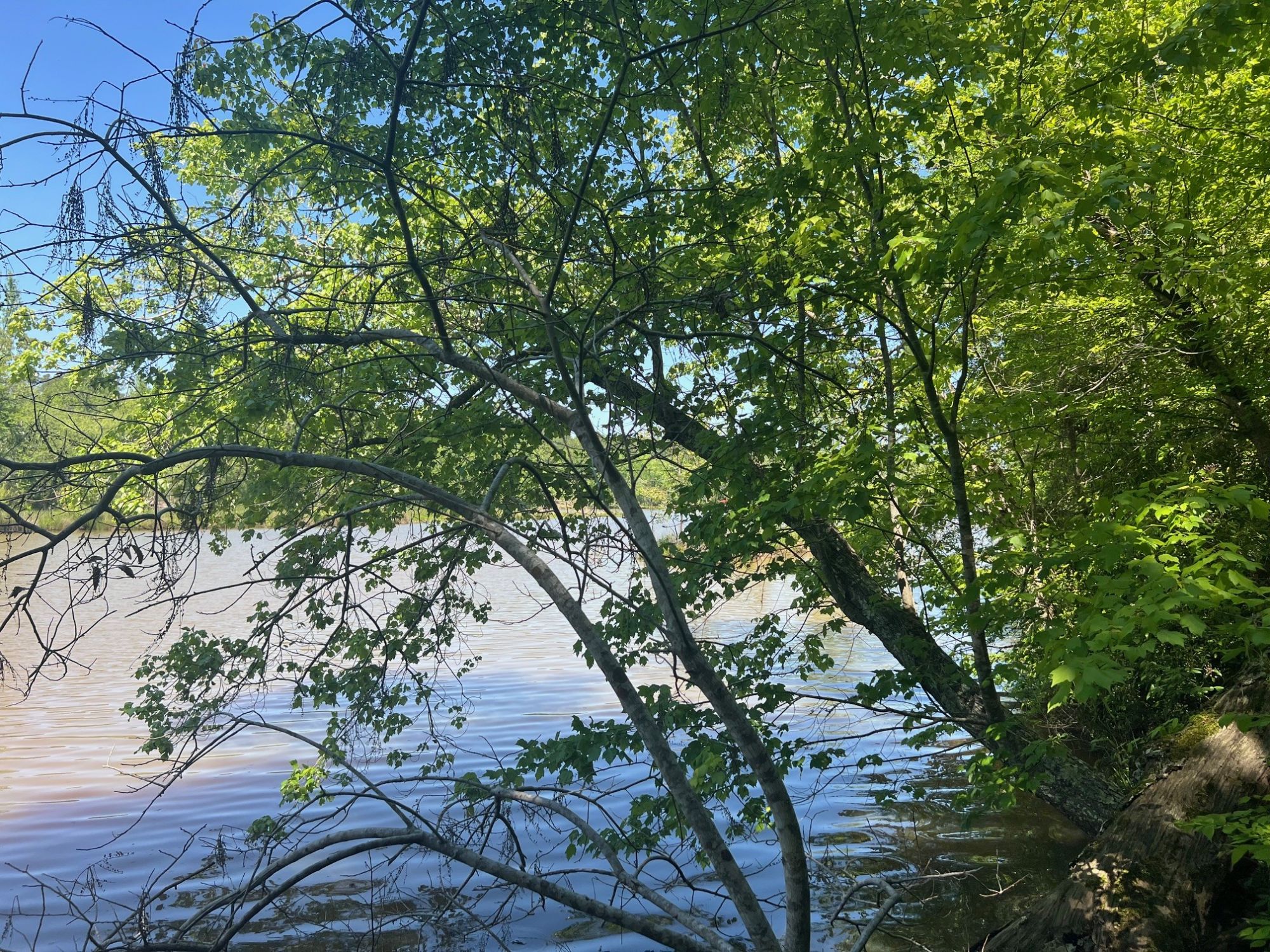 Lot image 8