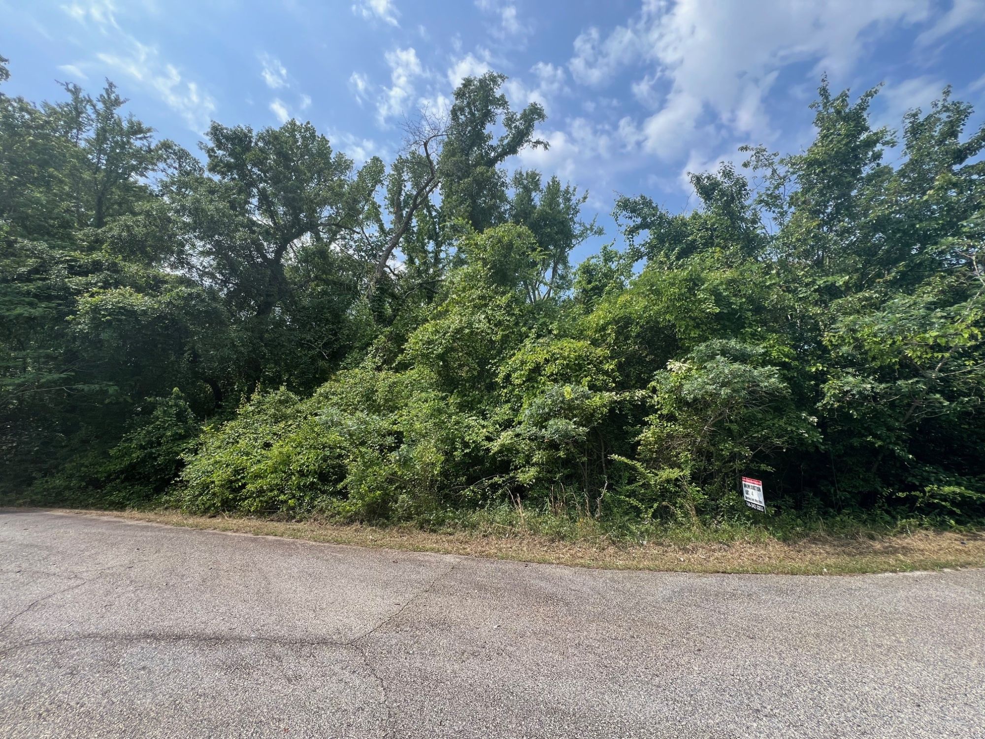 Lot image 5