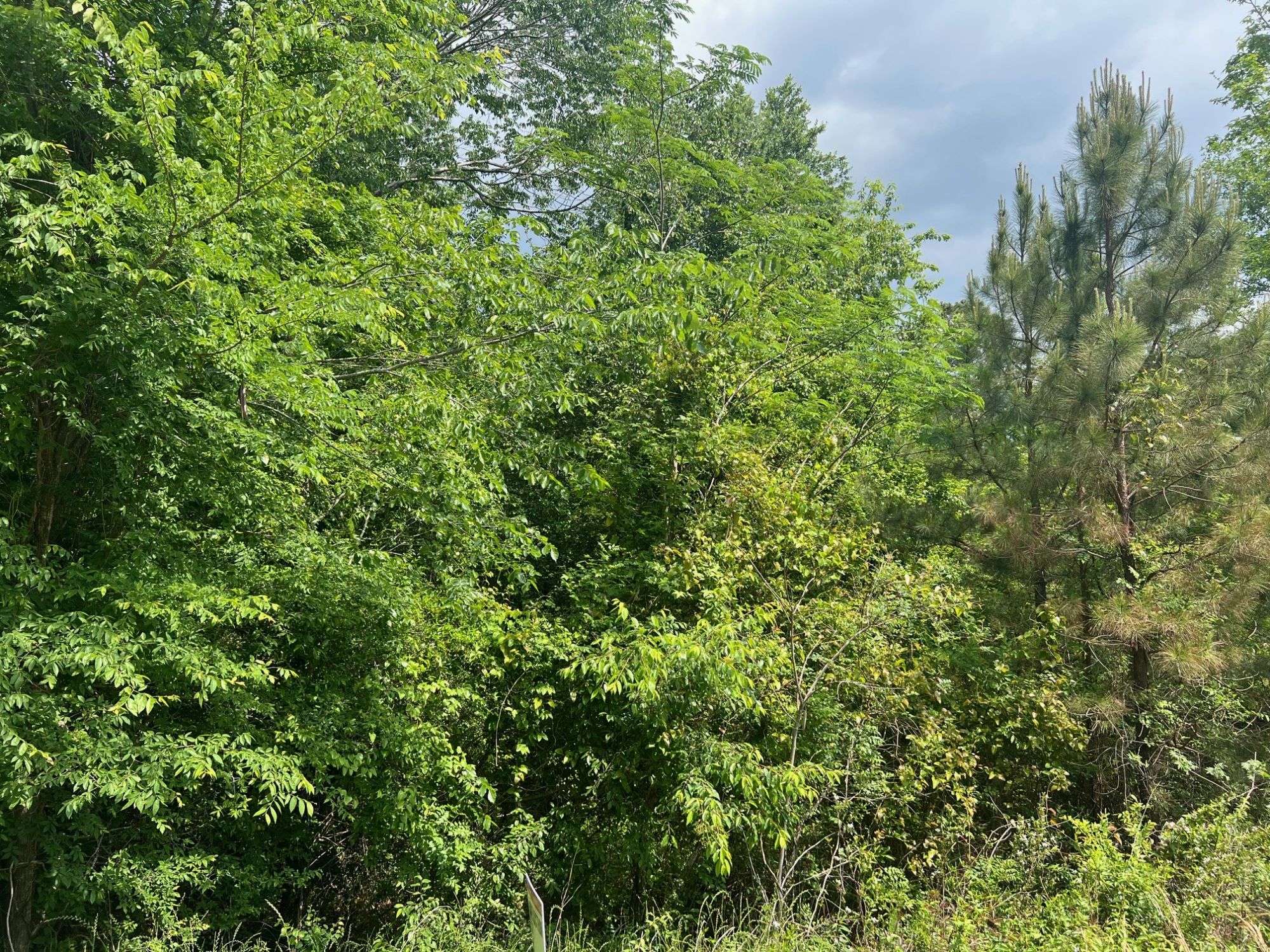 Lot image 4