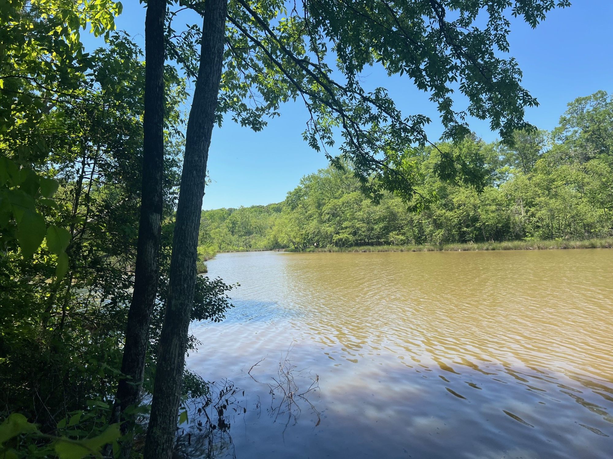 Lot image 9