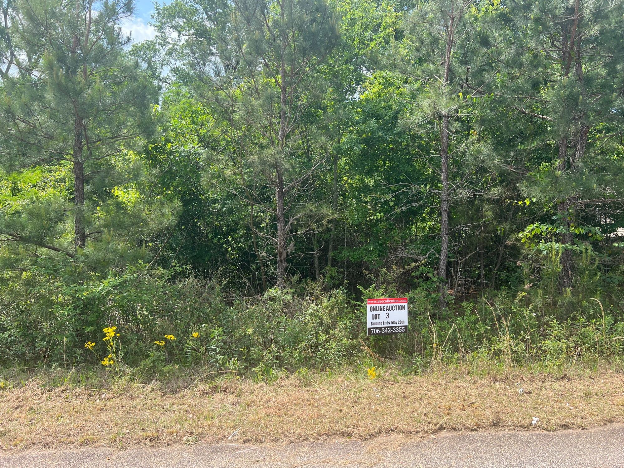 Lot image 3