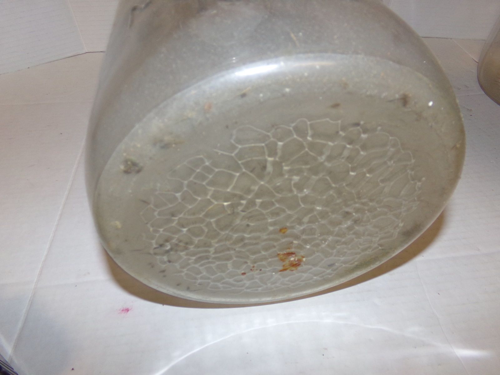 Lot image 4