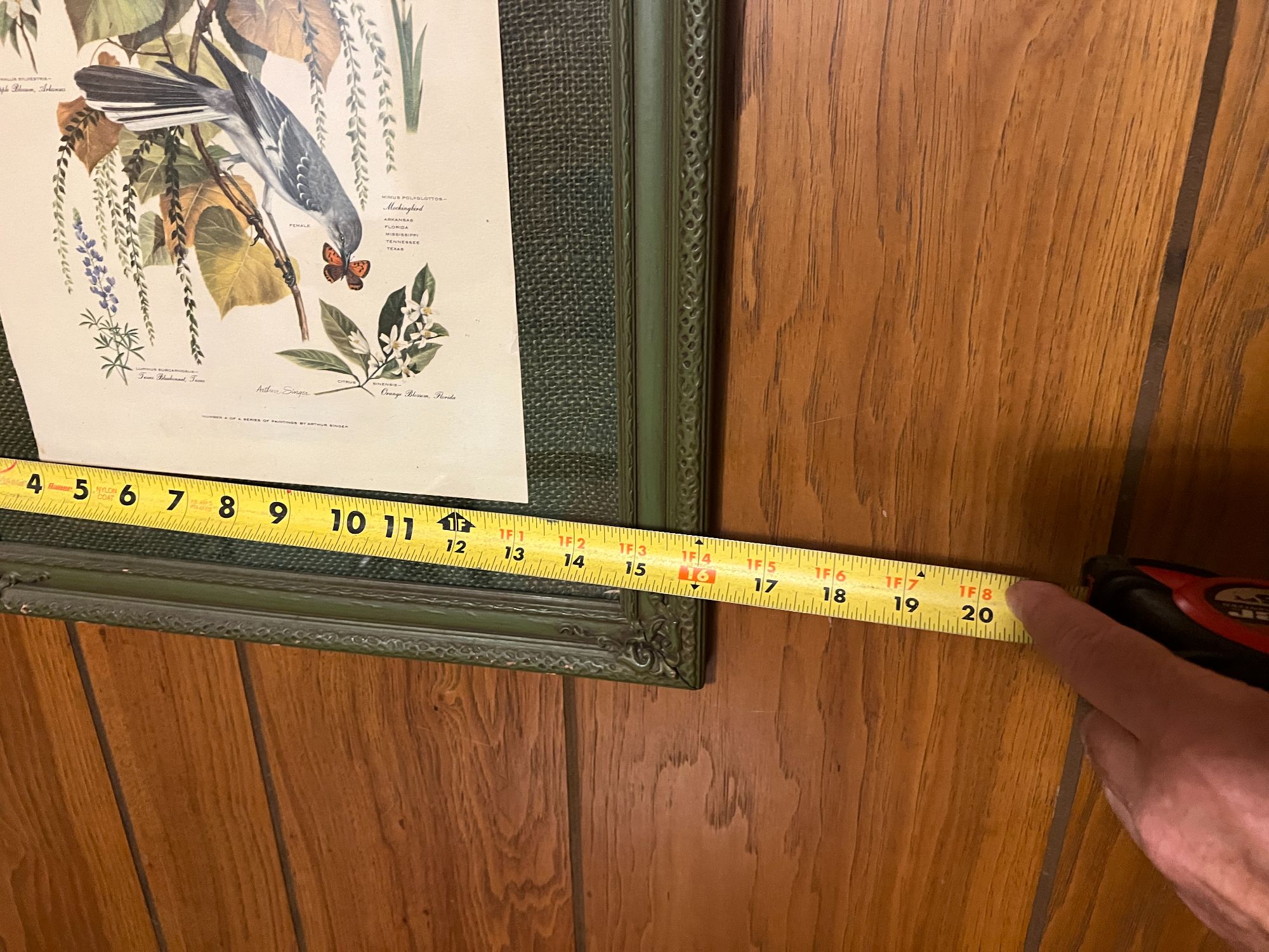 Lot image 5