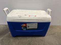 Igloo 48 qt cooler, see pictures for details.