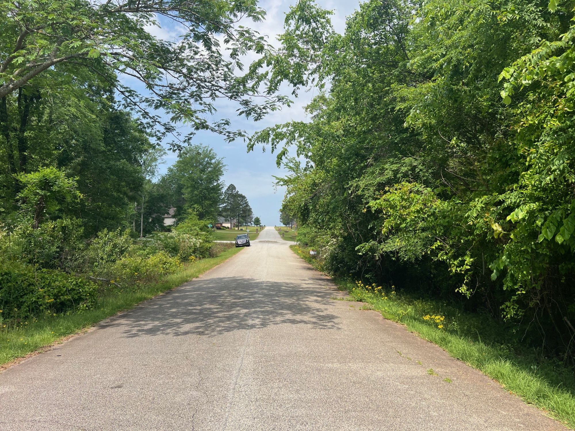Lot image 5