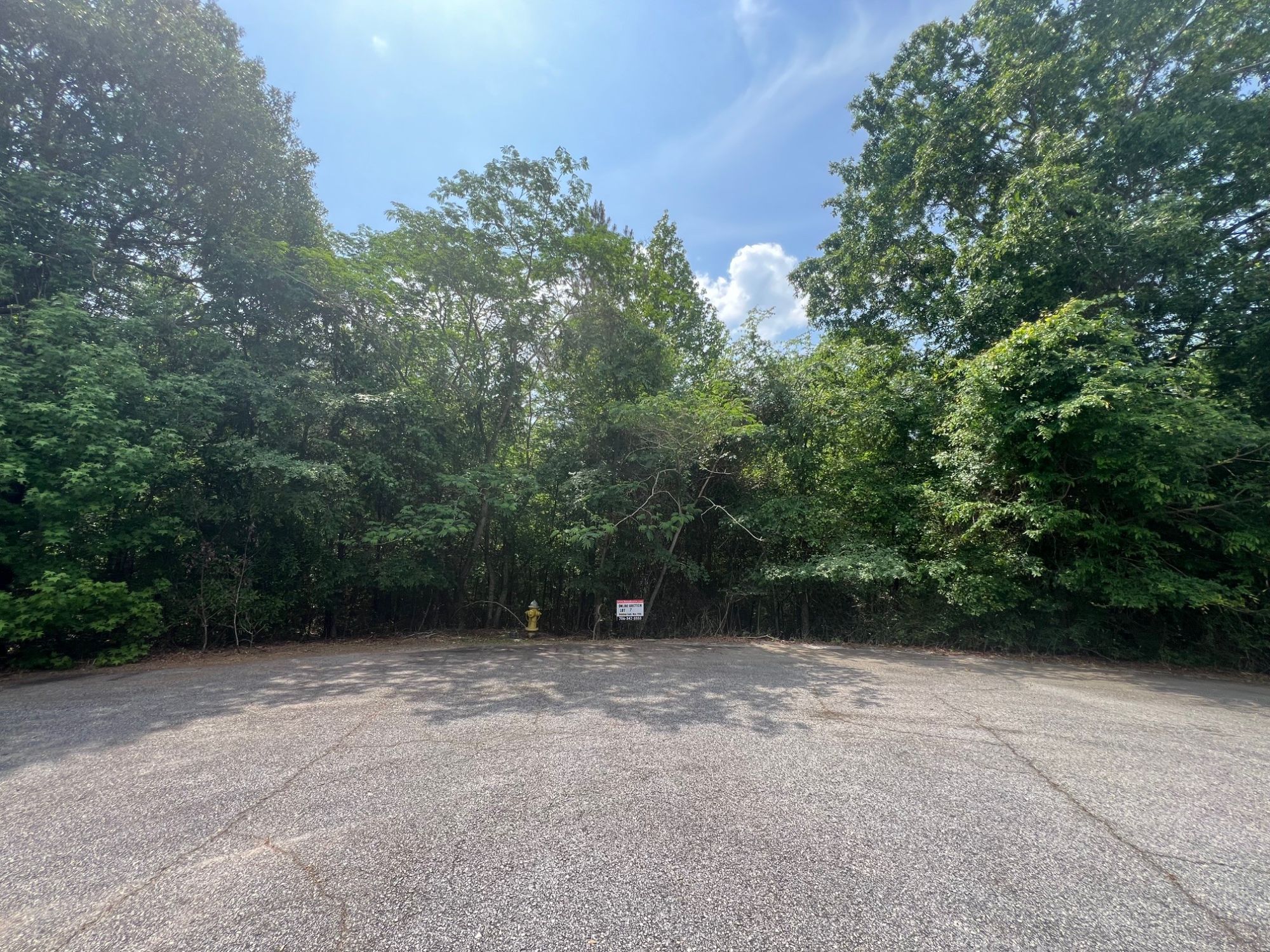 Lot image 4