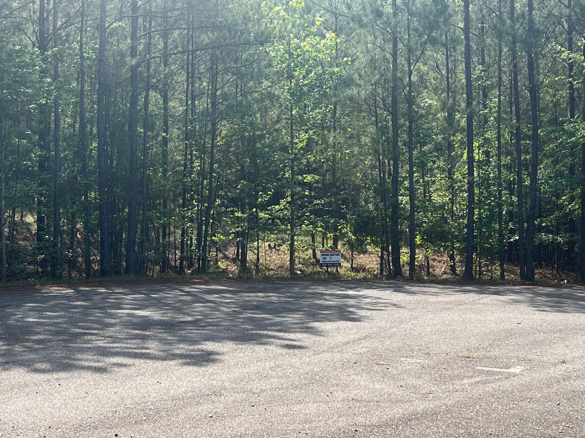 Lot image 7