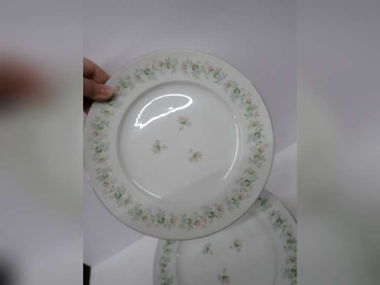 Vintage Johann Haviland Bavaria Germany Dinner Plates