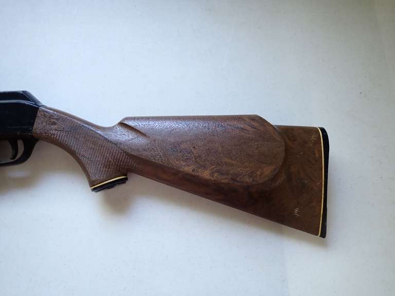 Daisy BB Gun