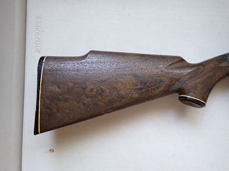 Daisy BB Gun