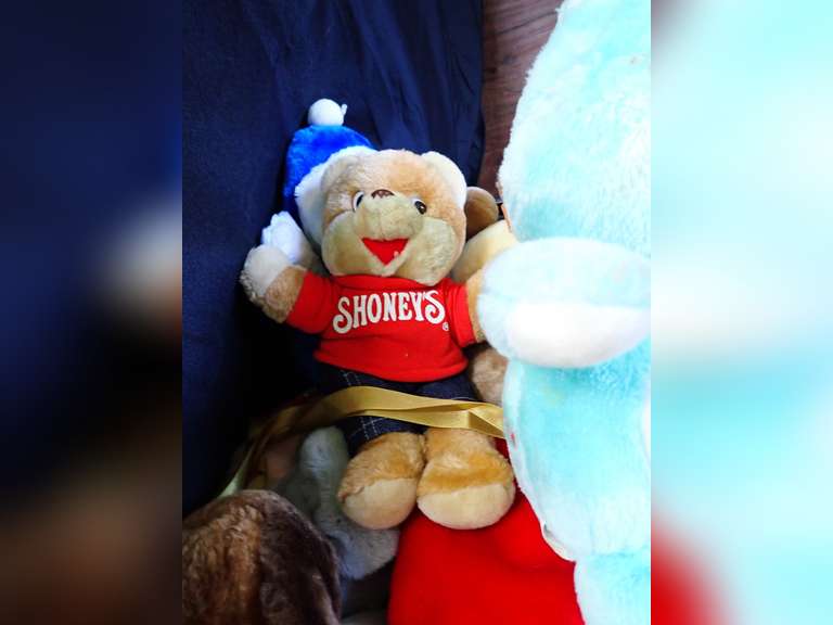 Collection of Plush Toys, Including Care Bear and Shoney's Bear