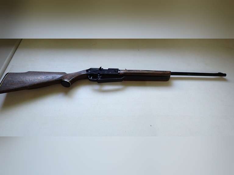 Daisy BB Gun