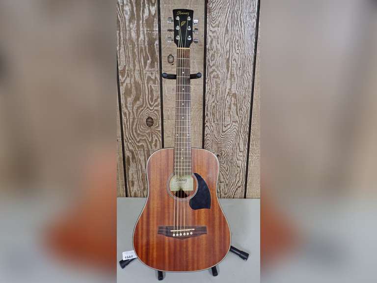 Ibanez Acoustic Guitar