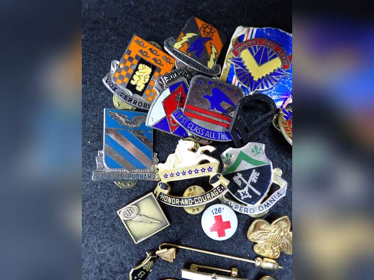 Military Insignia and Pin Collection