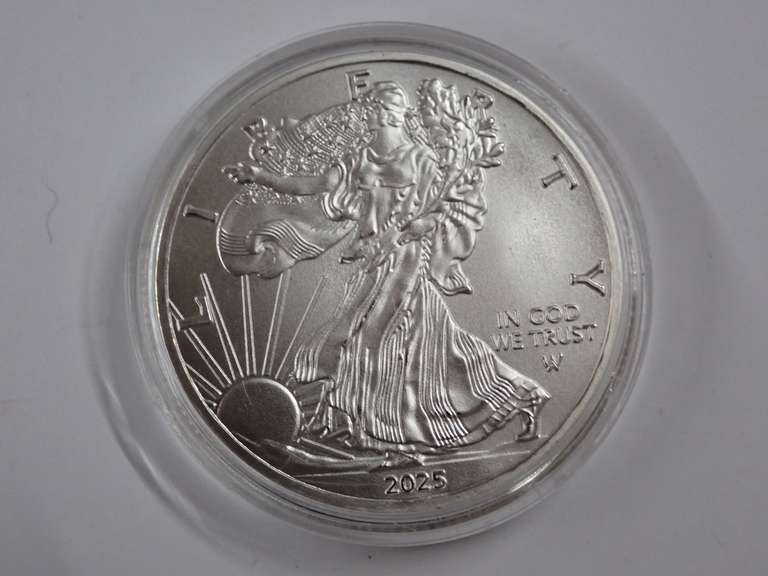 2025 AMERICAN SILVER EAGLE ONE DOLLAR COIN