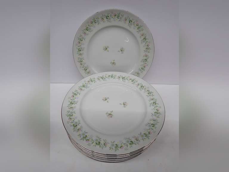 Vintage Johann Haviland Bavaria Germany Dinner Plates