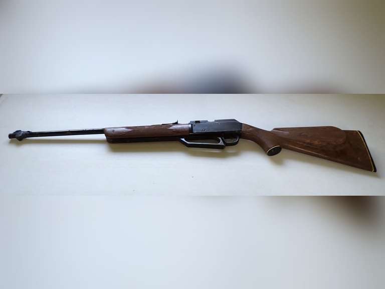 Daisy BB Gun