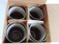 Wedgwood Fleur Iced Tea/Beverage Glasses - Set of 4 in Original Box