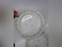 Vintage Johann Haviland Bavaria Germany Dinner Plates