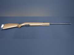 Remington Vantage Air Rifle