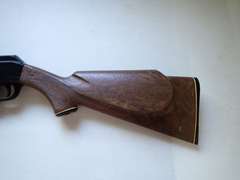 Daisy BB Gun