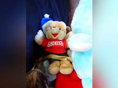 Collection of Plush Toys, Including Care Bear and Shoney's Bear