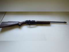 Daisy BB Gun