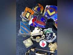 Military Insignia and Pin Collection