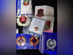 Military Insignia and Pin Collection