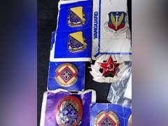 Military Insignia and Pin Collection