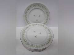 Vintage Johann Haviland Bavaria Germany Dinner Plates