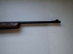 Daisy BB Gun