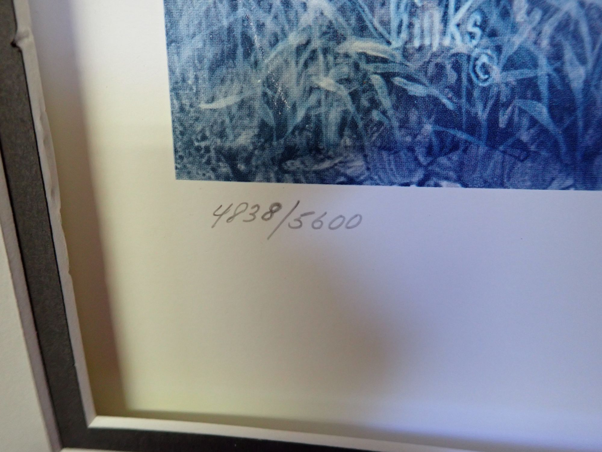 Lot image 4