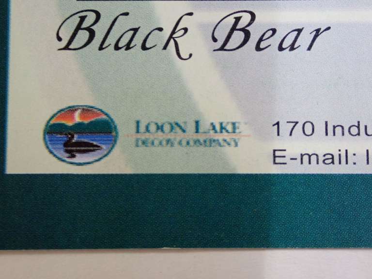 Loon Lake Decoy Company Wall Decor - See all photos for contents.