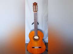 Yamaha Acoustic Guitar with Carry Case