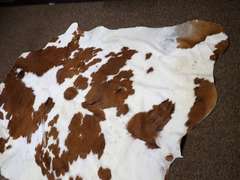 Cowhide Rug - See all photos for size.