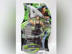 WWE SummerSlam Undertaker Action Figure