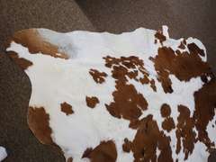 Cowhide Rug - See all photos for size.