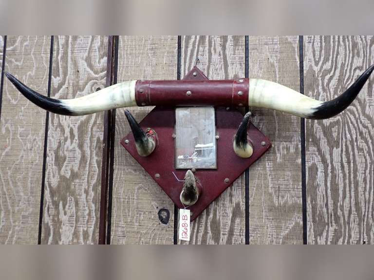Mounted Steer Horns Coat Rack with Mirror image