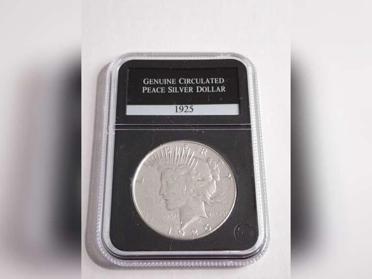 1925 PEACE DOLLAR COIN, PCS GENUINE CIRCULATED image