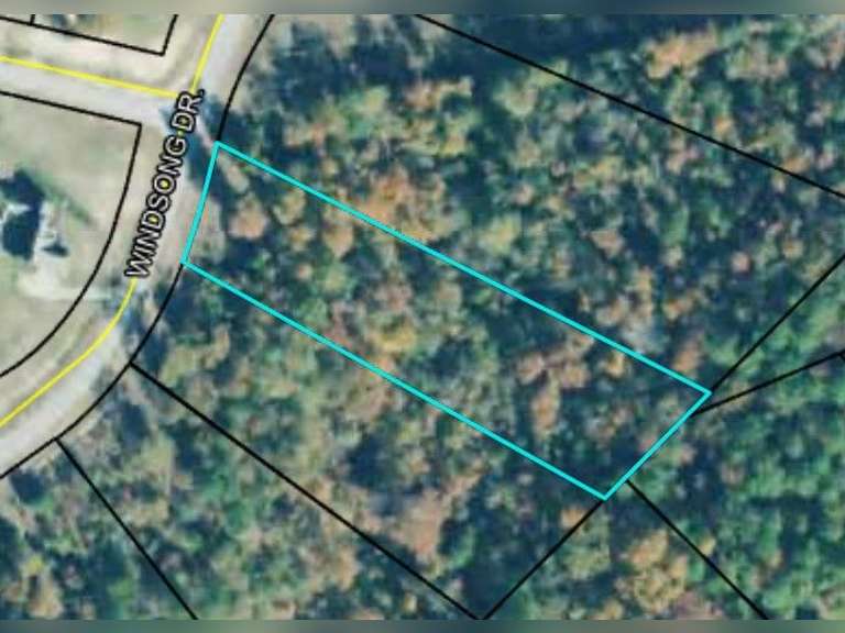 543 Windsong Dr image