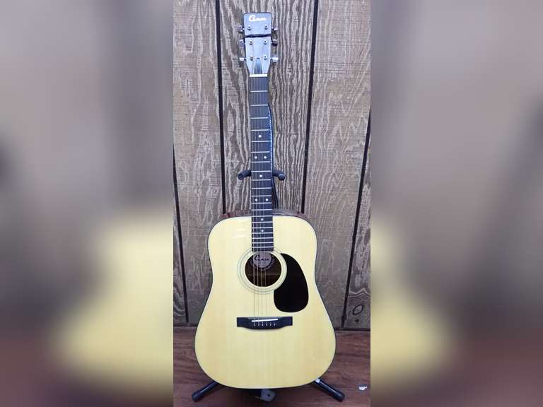 Cameo WC-61 Acoustic Guitar with Case - Stand Not Included image