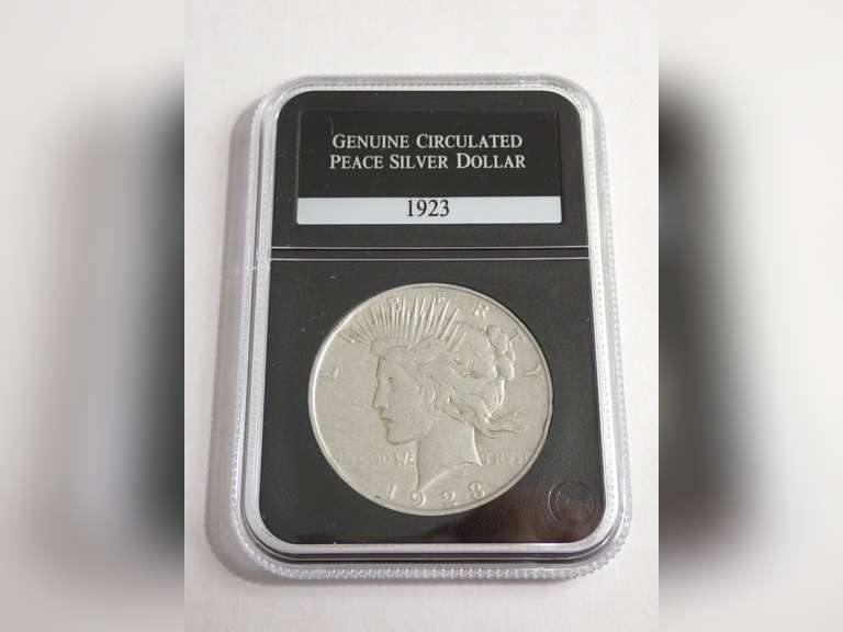 1923 PEACE DOLLAR COIN, PCS GENUINE CIRCULATED image
