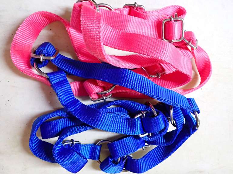 Two Nylon Halters image