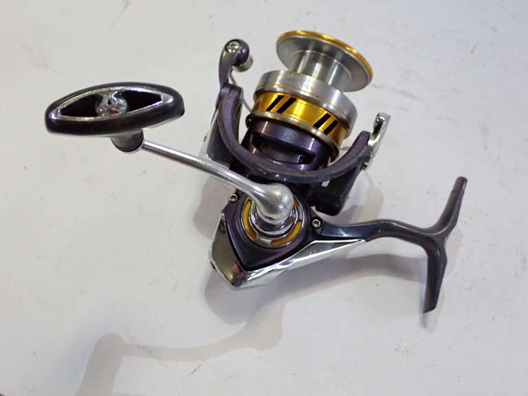 Regal Spinning Reel 10 Bearing System image