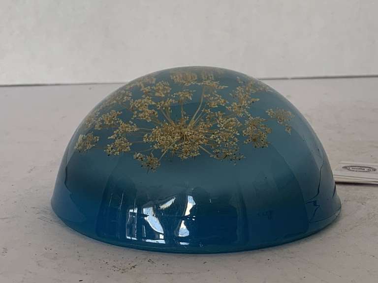 VINTAGE (APPEARS TO BE) LUCITE PAPERWEIGHT WITH DRIED QUEEN ANNE'S LACE FLOWERS BLUE DOME 4 1/2" ROUND image